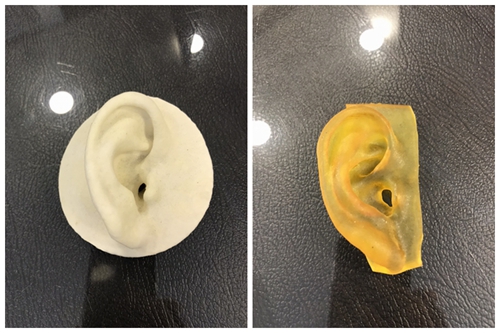 profile普罗菲耳耳部再造术耳部模型