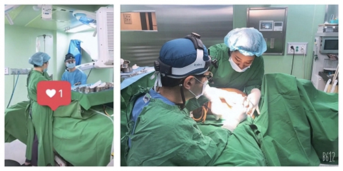 韩国profile普罗菲耳医院曼托新款X-tra光面假体案例内窥镜隆胸手术中