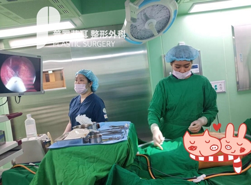 普罗菲耳医院采用内窥镜做假体隆胸术中