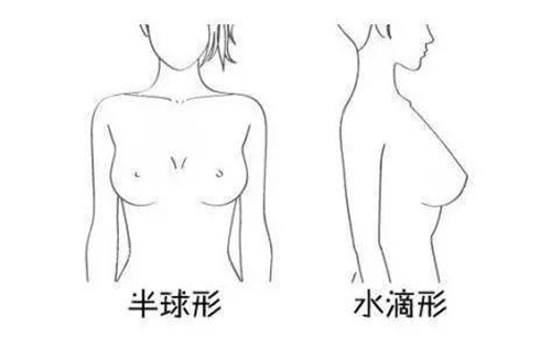 半球水滴型完美乳房形态